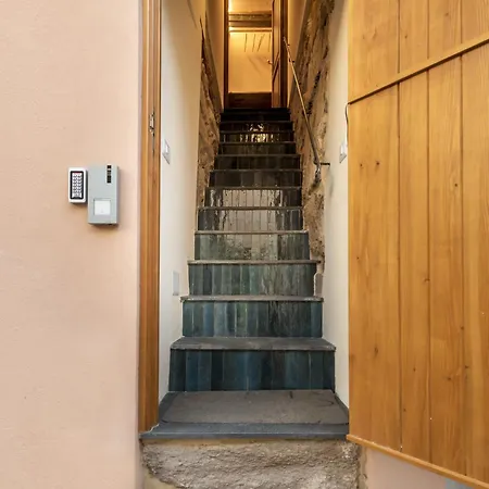 Apartment Zaccariaexclusive W Private Entrance